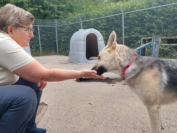 Volunteer Margaret getting to know dog Lunar 