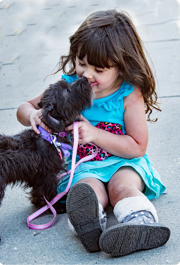 child and dog licking her face 