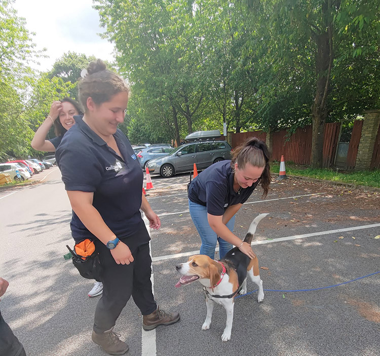 Animal Care team saying goodbye to beagle Dexter who was being adopted 