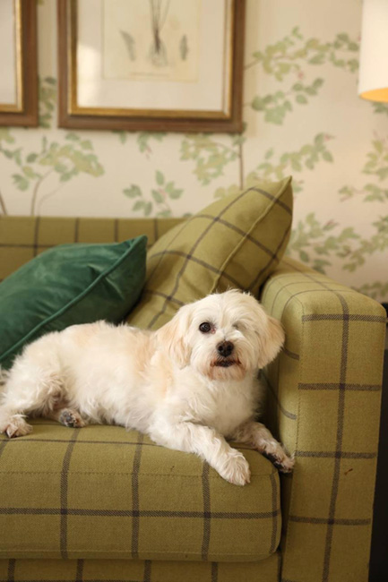 Peggy is the star of many a hotel photoshoot as part of her new family's work