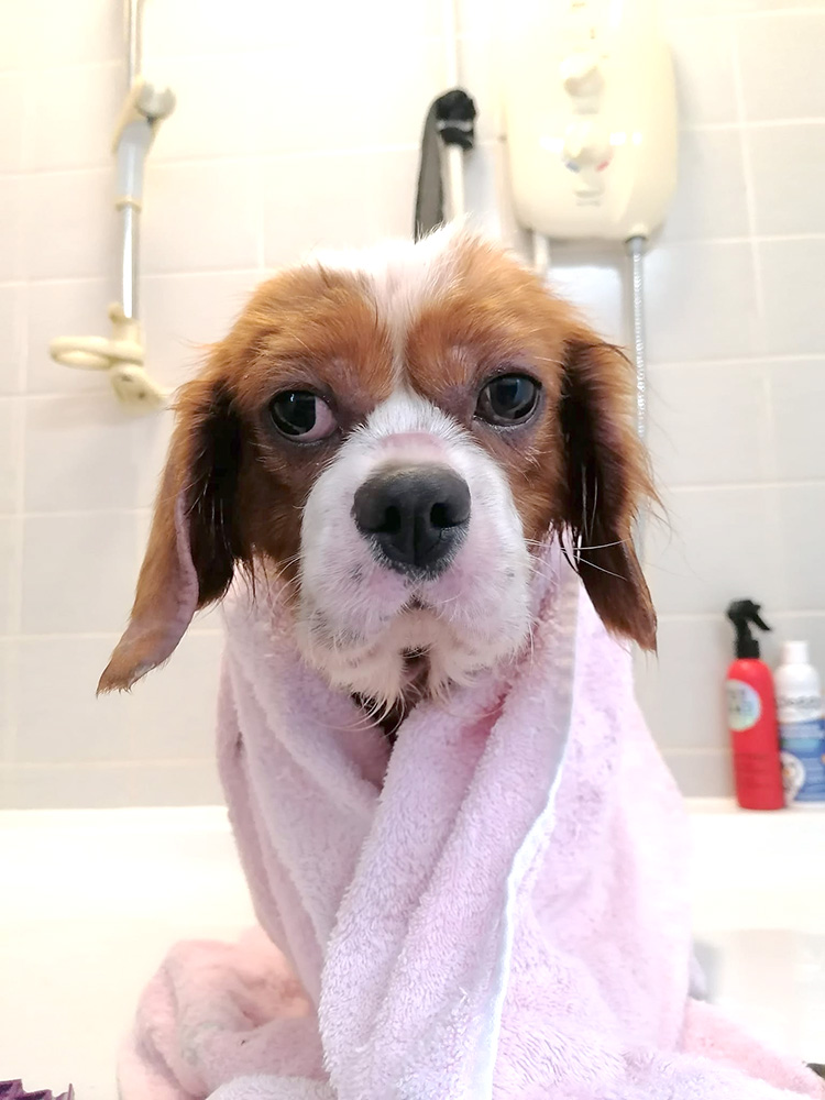 Cece having a bath
