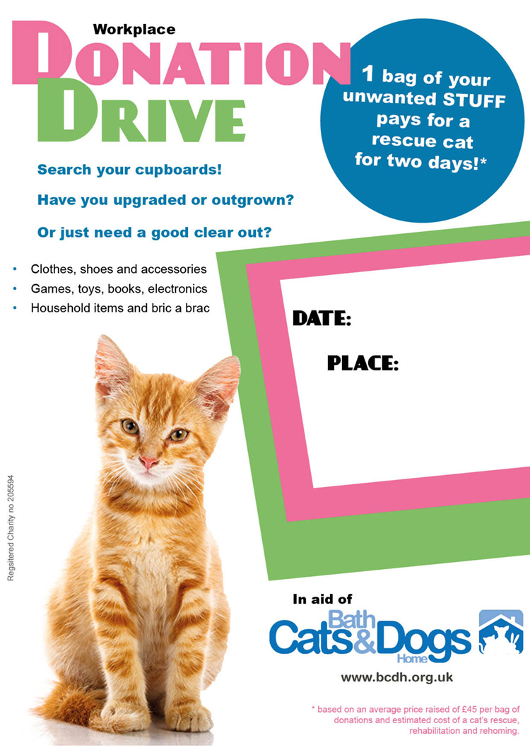 donation drive poster cat